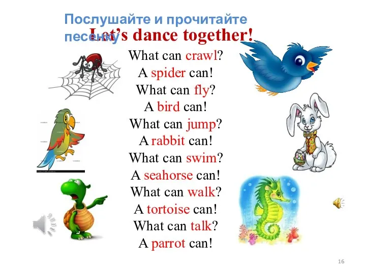 What can crawl? A spider can! What can fly? A bird