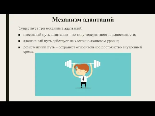 Механизм адаптаций Существует три механизма адаптаций: пассивный путь адаптации – по