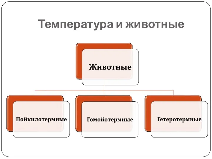 Температура и животные