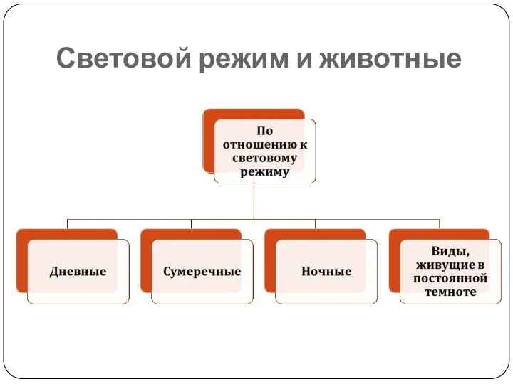 Световой режим и животные