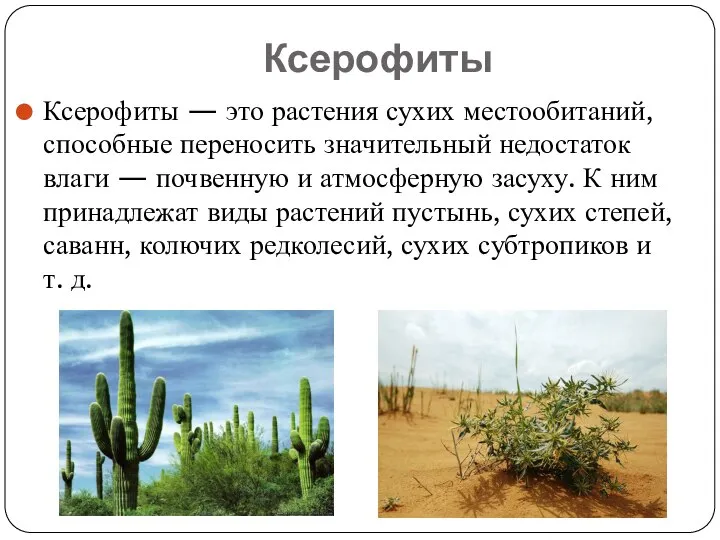 Ксерофиты Ксерофиты — это растения сухих местообитаний, способные переносить значительный недостаток