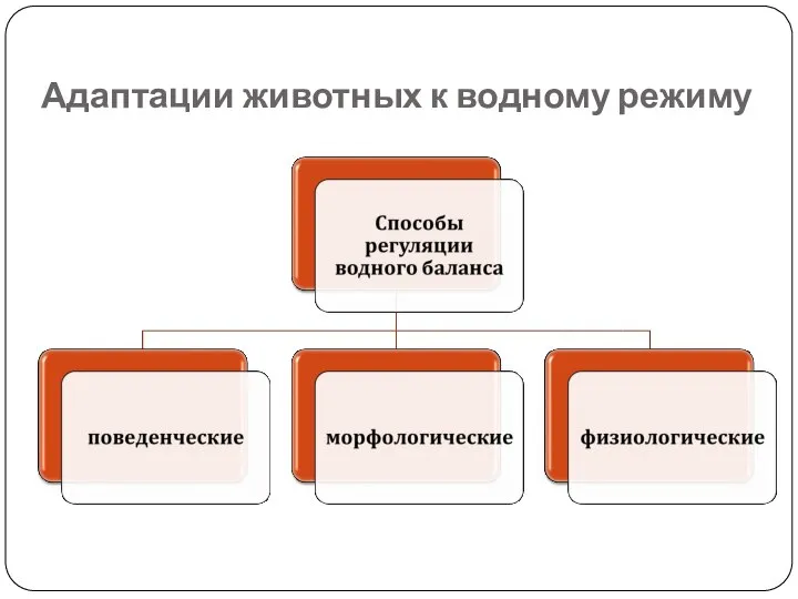 Адаптации животных к водному режиму