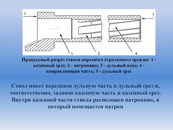 Продольный разрез ствола нарезного стрелкового оружия: 1 - казенный срез; 2