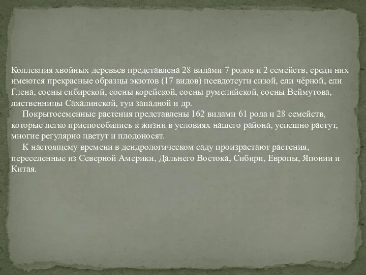 Коллекция хвойных деревьев представлена 28 видами 7 родов и 2 семейств,