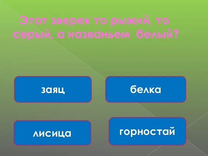 Этот зверек то рыжий, то серый, а названьем белый? белка горностай лисица заяц