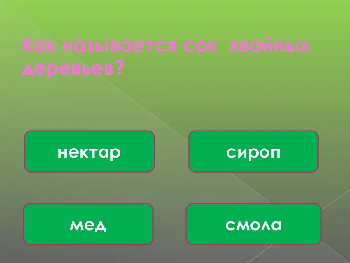 Как называется сок хвойных деревьев? смола сироп мед нектар