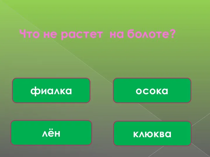 Что не растет на болоте? лён осока клюква фиалка