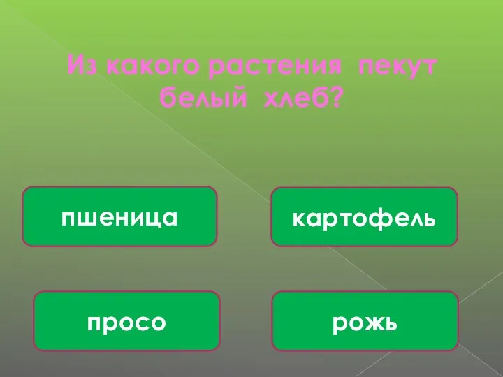 Из какого растения пекут белый хлеб? пшеница картофель просо рожь