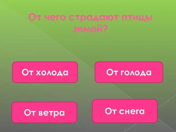 От чего страдают птицы зимой? От голода От снега От ветра От холода