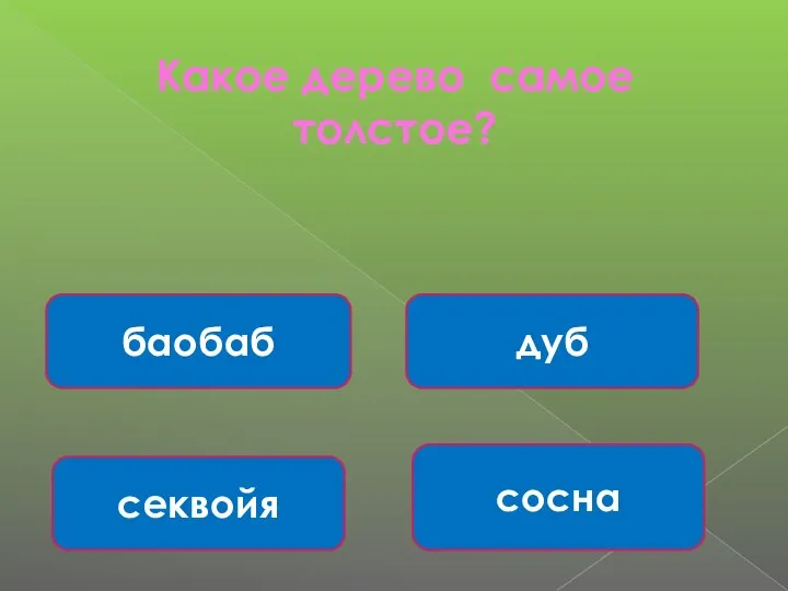 Какое дерево самое толстое? баобаб сосна секвойя дуб