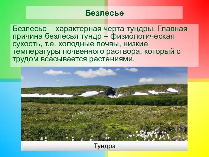 Безлесье Безлесье – характерная черта тундры. Главная причина безлесья тундр –