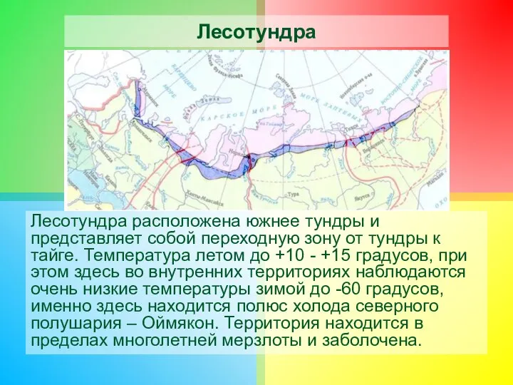 Лесотундра Лесотундра расположена южнее тундры и представляет собой переходную зону от