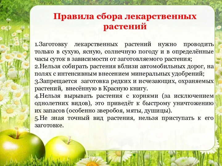 1.Заготовку лекарственных растений нужно проводить только в сухую, ясную, солнечную погоду