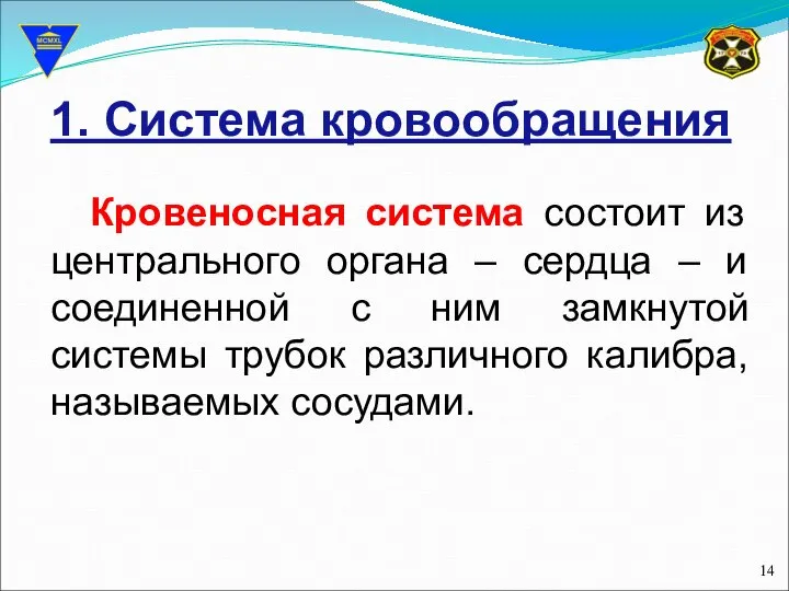 1. Система кровообращения Кровеносная система состоит из центрального органа – сердца