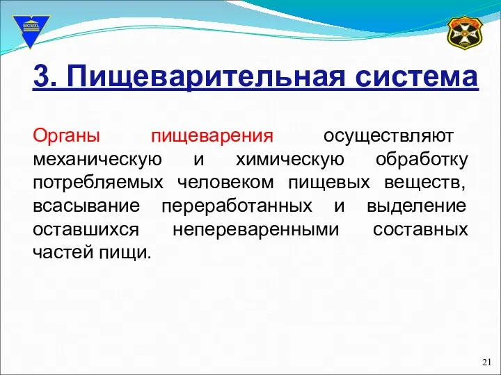 3. Пищеварительная система Органы пищеварения осуществляют механическую и химическую обработку потребляемых