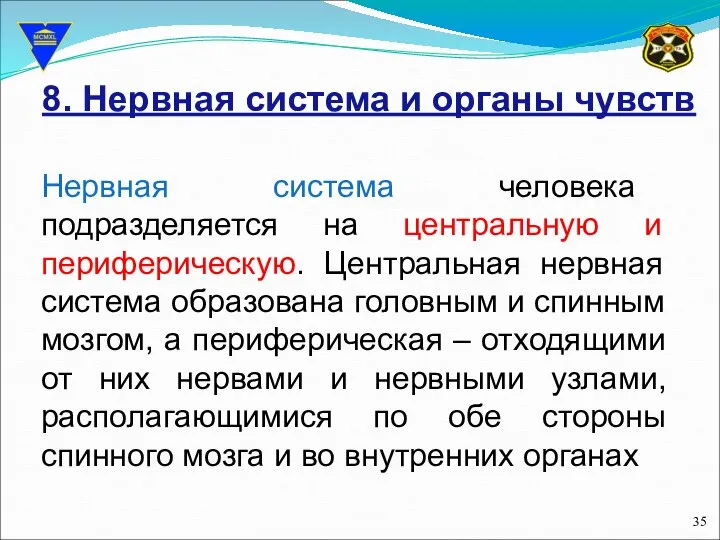 8. Нервная система и органы чувств Нервная система человека подразделяется на