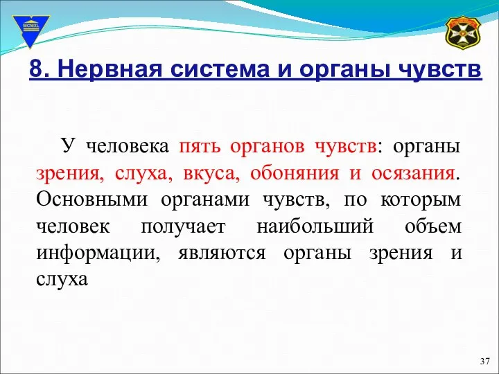 8. Нервная система и органы чувств У человека пять органов чувств: