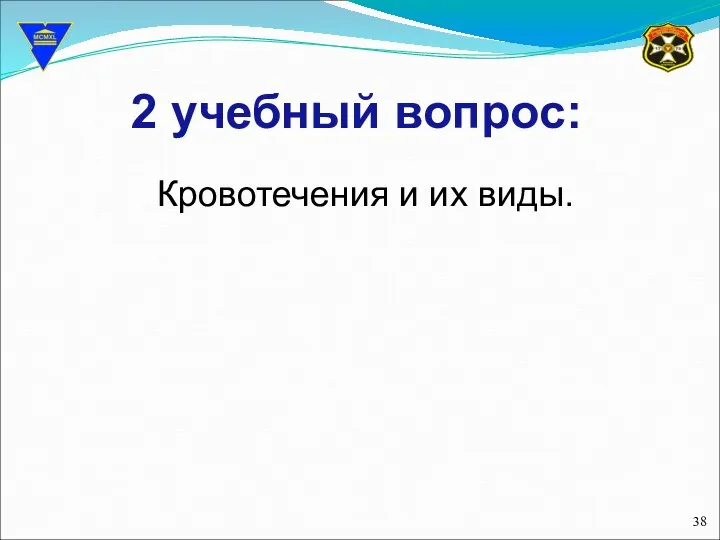 2 учебный вопрос: Кровотечения и их виды.