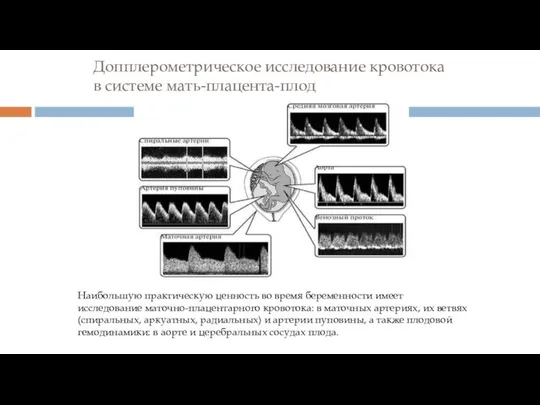 Допплерометрическое исследование кровотока в системе мать-плацента-плод Наибольшую практическую ценность во время