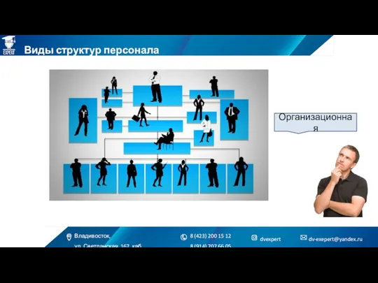 Виды структур персонала Организационная