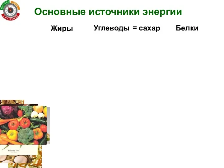 Основные источники энергии Жиры Углеводы Белки = сахар