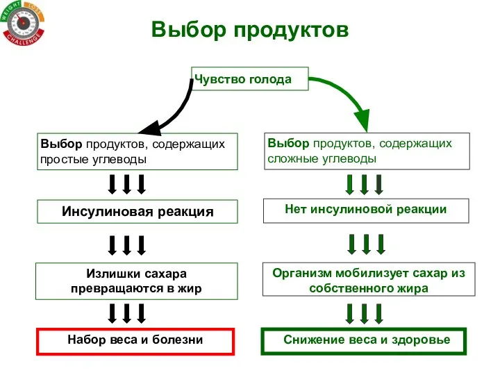 Чувство голода Выбор продуктов Выбор продуктов, содержащих простые углеводы Организм мобилизует