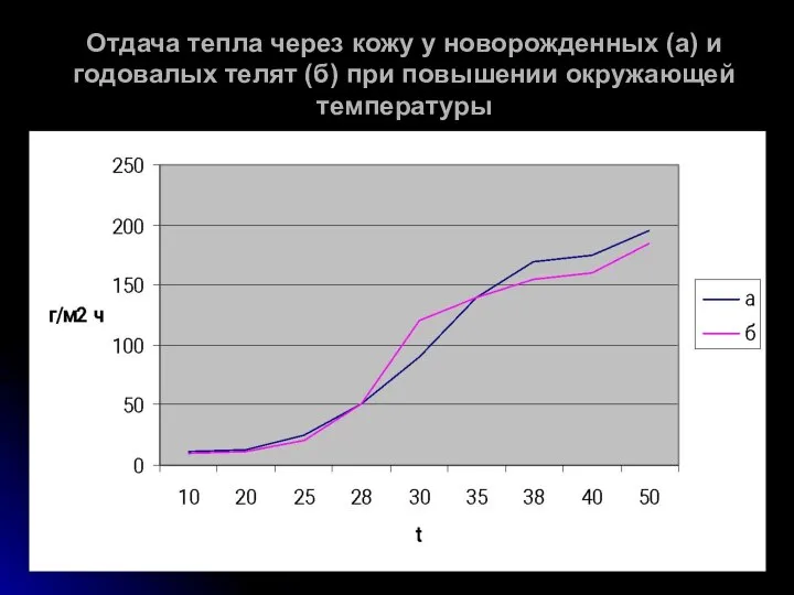 Отдача тепла через кожу у новорожденных (а) и годовалых телят (б) при повышении окружающей температуры