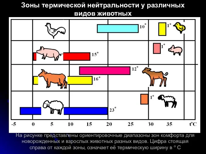 На рисунке представлены ориентировочные диапазоны зон комфорта для новорожденных и взрослых