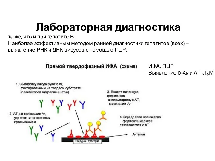 Лабораторная диагностика та же, что и при гепатите В. Наиболее эффективным