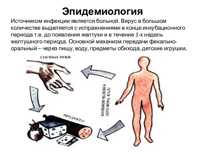 Эпидемиология Источником инфекции является больной. Вирус в большом количестве выделяется с