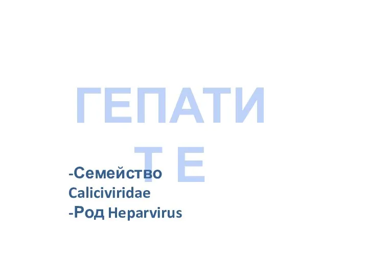 ГЕПАТИТ Е -Семейство Caliciviridae -Род Heparvirus