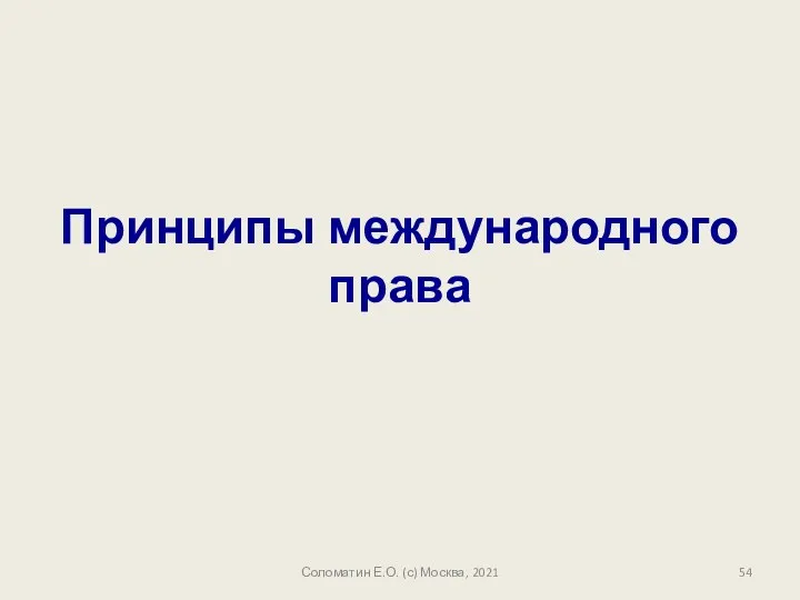 Соломатин Е.О. (с) Москва, 2021 Принципы международного права