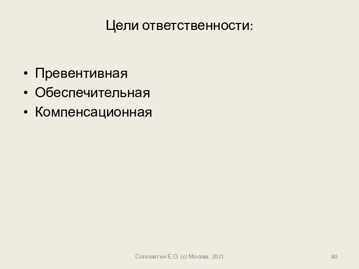 Цели ответственности: Превентивная Обеспечительная Компенсационная Соломатин Е.О. (с) Москва, 2021