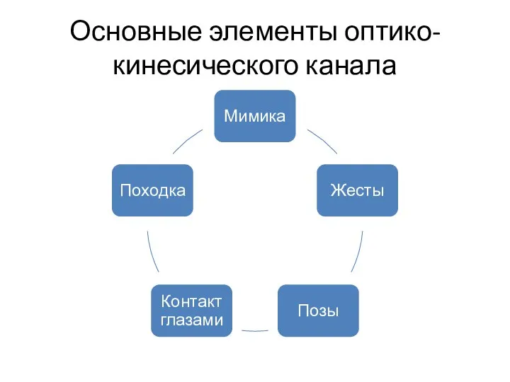 Основные элементы оптико-кинесического канала