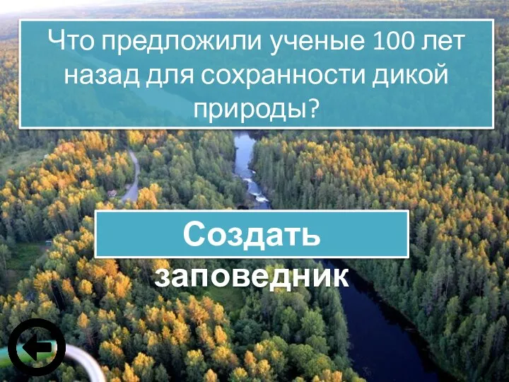 Что предложили ученые 100 лет назад для сохранности дикой природы? Создать заповедник