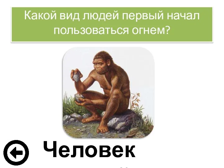 Какой вид людей первый начал пользоваться огнем? Человек умелый