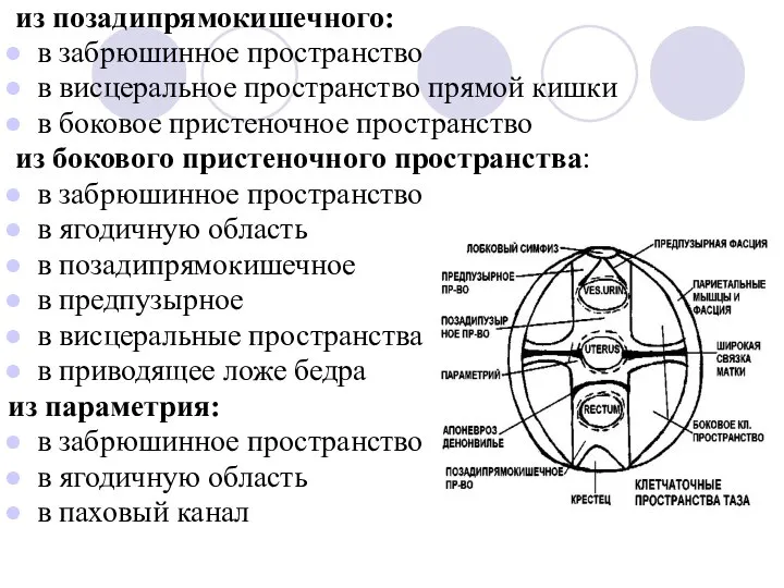 из позадипрямокишечного: в забрюшинное пространство в висцеральное пространство прямой кишки в