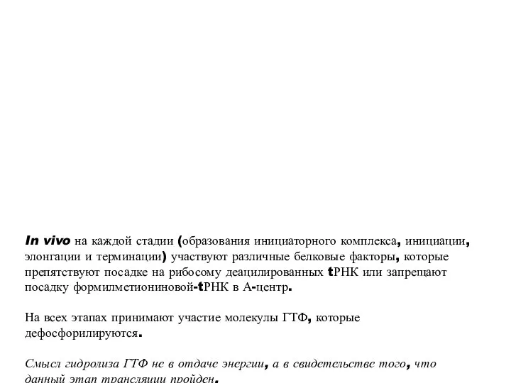 In vivo на каждой стадии (образования инициаторного комплекса, инициации, элонгации и