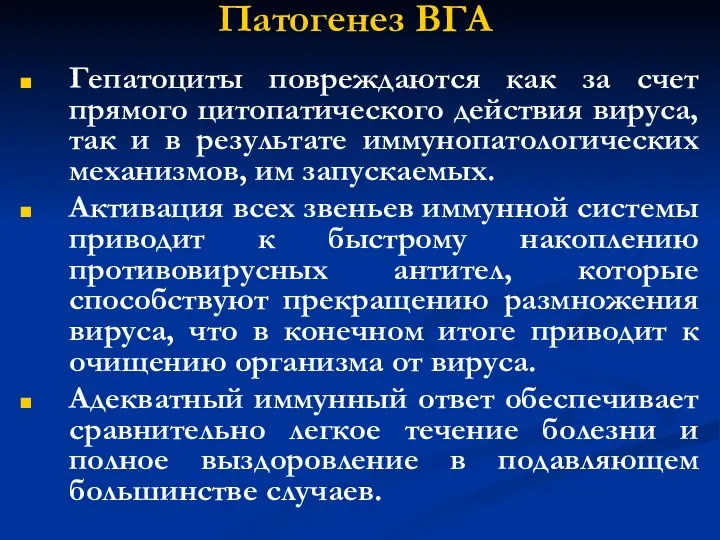 Патогенез ВГА Гепатоциты повреждаются как за счет прямого цитопатического действия вируса,