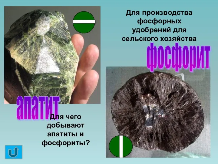 апатит фосфорит Для чего добывают апатиты и фосфориты? Для производства фосфорных удобрений для сельского хозяйства