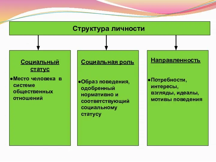 Структура личности Социальный статус Место человека в системе общественных отношений Социальная