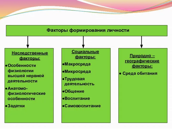 Факторы формирования личности Наследственные факторы: Особенности физиологии высшей нервной деятельности Анатомо-