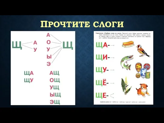 ПРОЧТИТЕ СЛОГИ