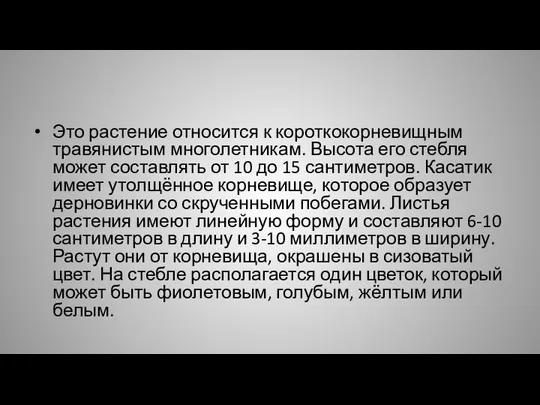 Это растение относится к короткокорневищным травянистым многолетникам. Высота его стебля может