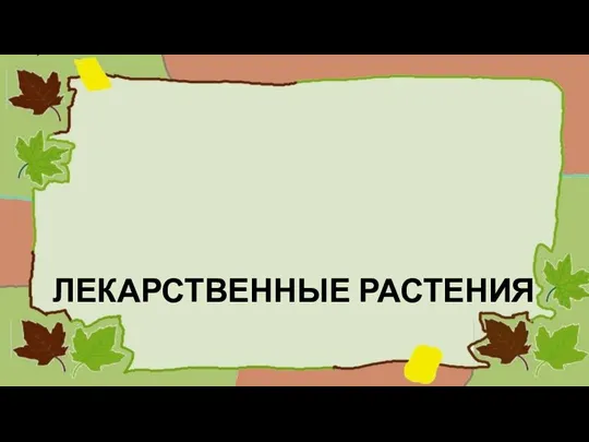 ЛЕКАРСТВЕННЫЕ РАСТЕНИЯ