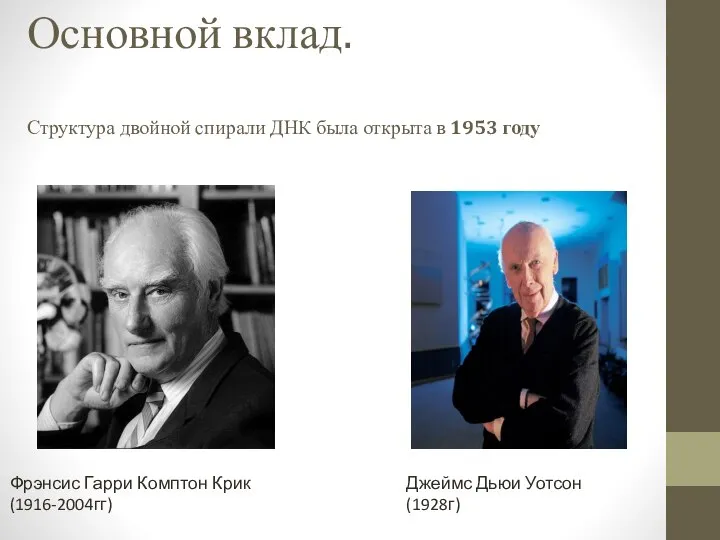 Основной вклад. Структура двойной спирали ДНК была открыта в 1953 году