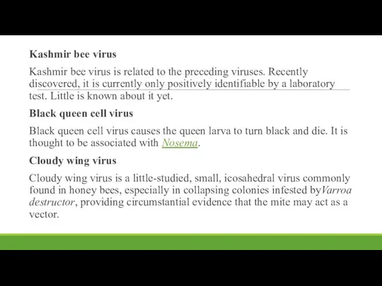 Kashmir bee virus Kashmir bee virus is related to the preceding