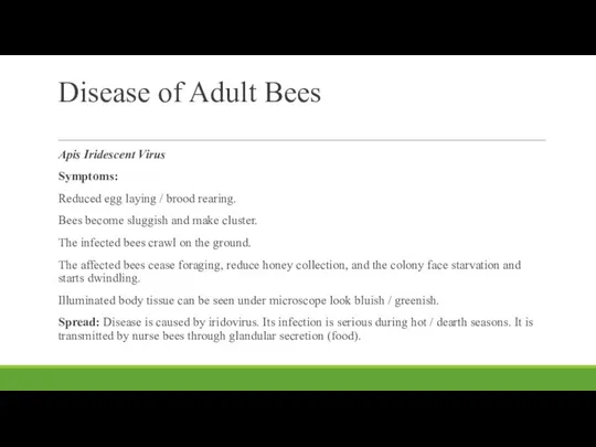 Disease of Adult Bees Apis Iridescent Virus Symptoms: Reduced egg laying