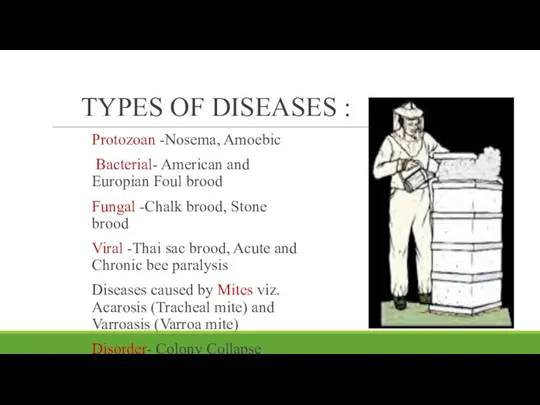 TYPES OF DISEASES : Protozoan -Nosema, Amoebic Bacterial- American and Europian