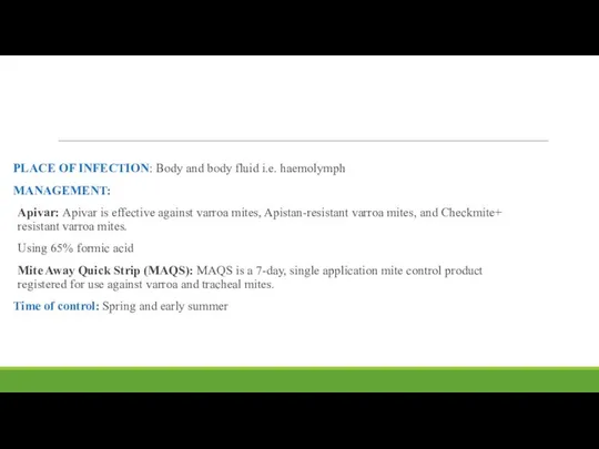 PLACE OF INFECTION: Body and body fluid i.e. haemolymph MANAGEMENT: Apivar: